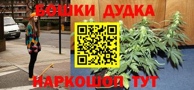 сатива Славгород