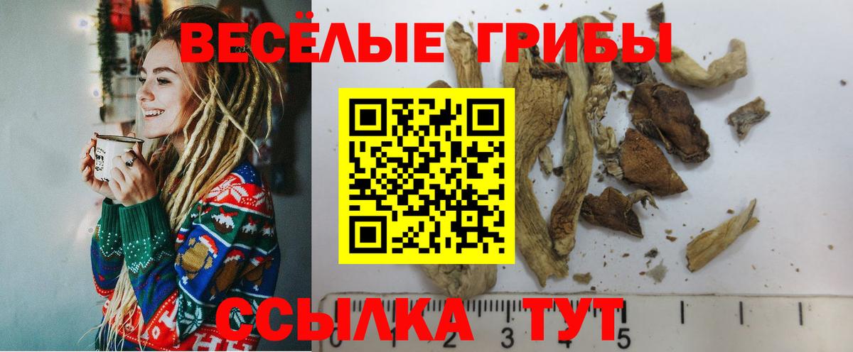 Новосибирск  Галлюциногенные грибы MAGIC MUSHROOMS  Вход с VPN 